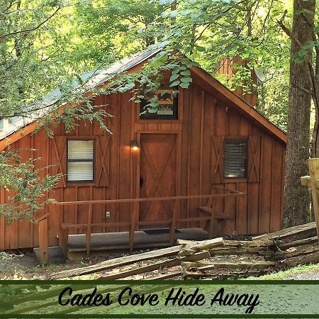 Vila Cades Cove Hide Away Townsend Exteriér fotografie